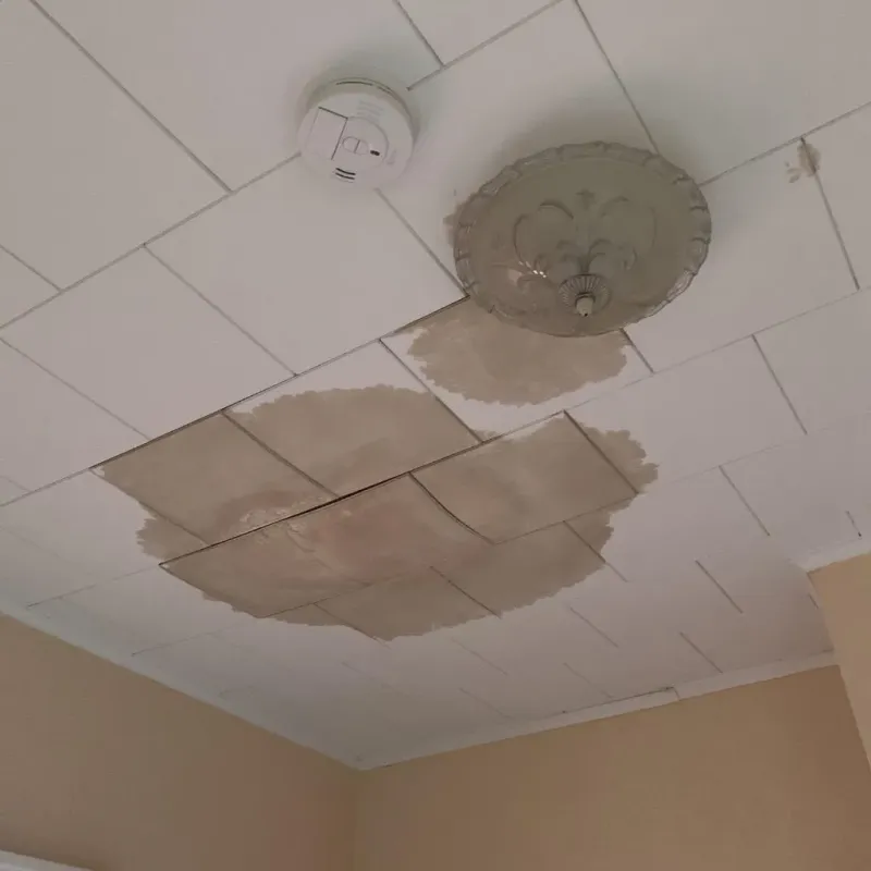 Ceiling Water Damage Repair in Tilden, TX