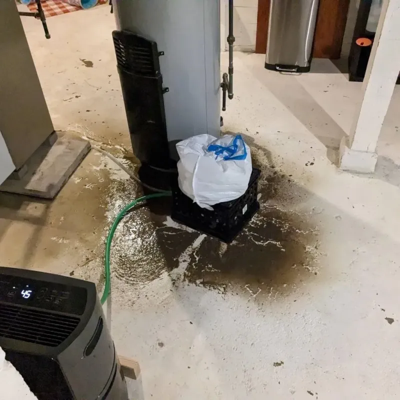 Sewage Backup Cleanup Service in Tilden, TX